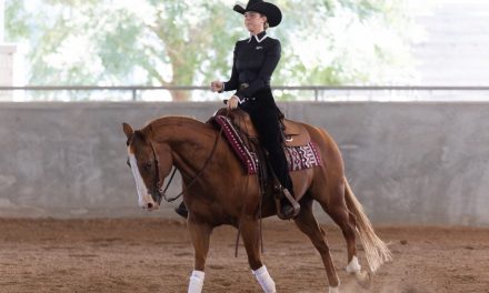 Tim Texas A&M Mengalahkan Georgia Di Final Kejuaraan Berkuda