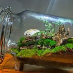 Tren Merawat Terrarium Mini, Solusi Hijau Untuk Dekorasi Kamar