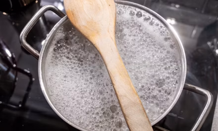 Trik Mencegah Air Rebusan Mie Atau Pasta Meluap Out Dari Panci